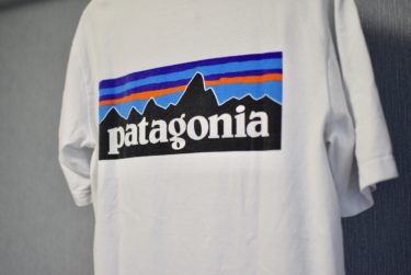 【使用レビュー】パタゴニアのロゴTは使える万能シャツ!『種類やサイズ感など網羅的に紹介』